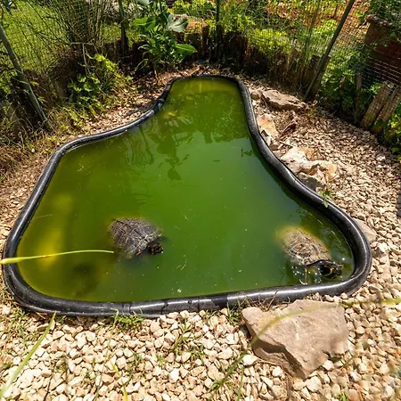 Gordan With Garden, 3 Min Walk To The * 트로기르