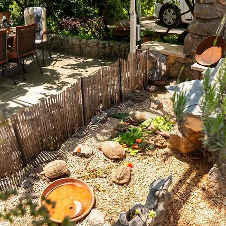 Daire Gordan With Garden, 3 Min Walk To The *