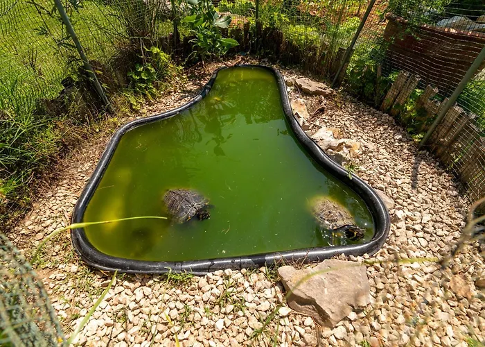 Gordan With Garden, 3 Min Walk To The * 트로기르